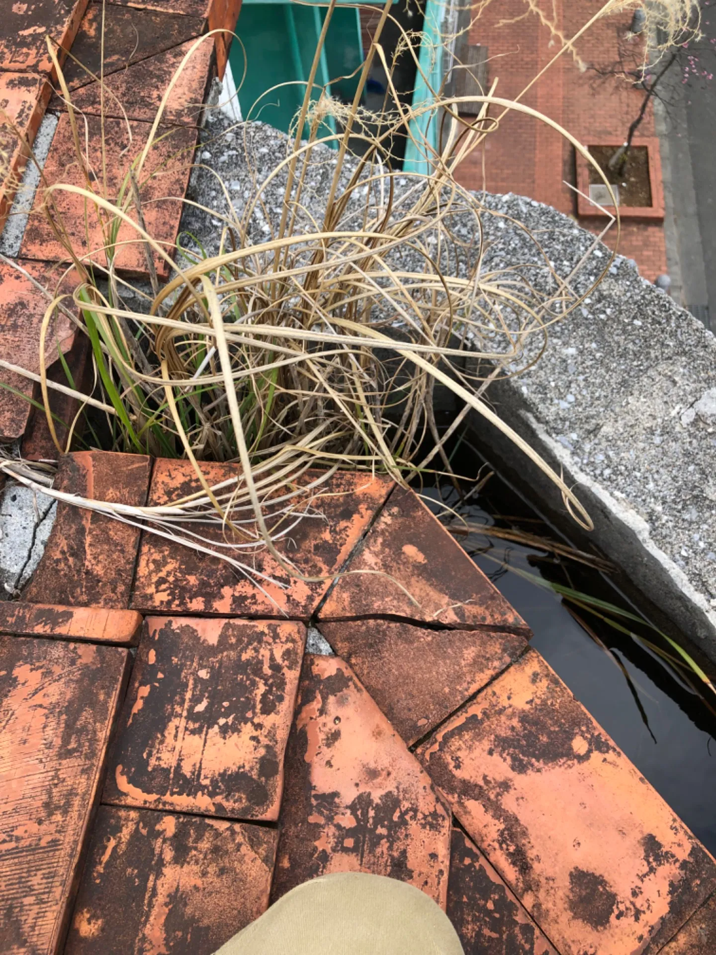 屋上雨水溝のつまり抜き