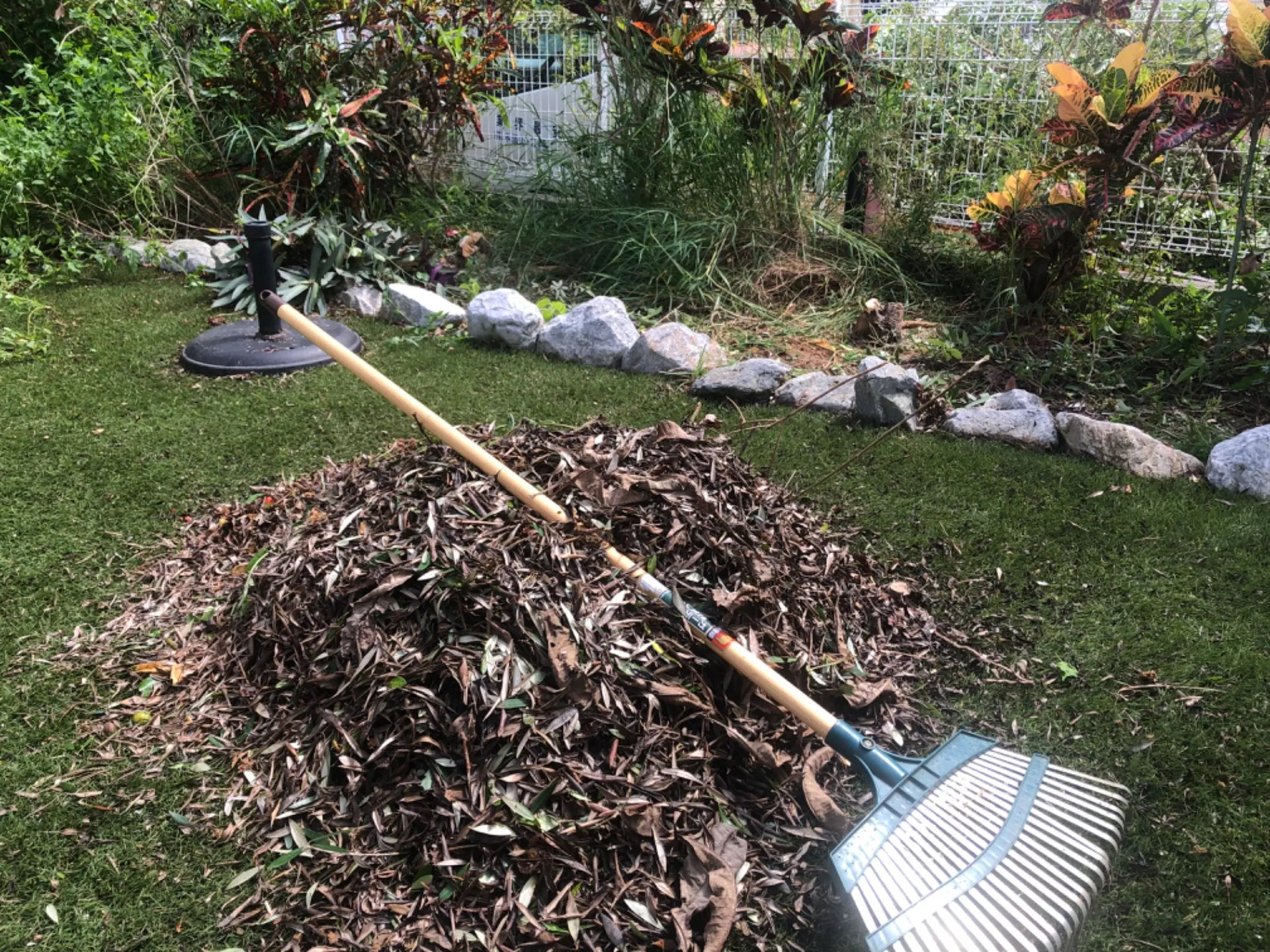 芝内にも沢山の枯葉が・・・