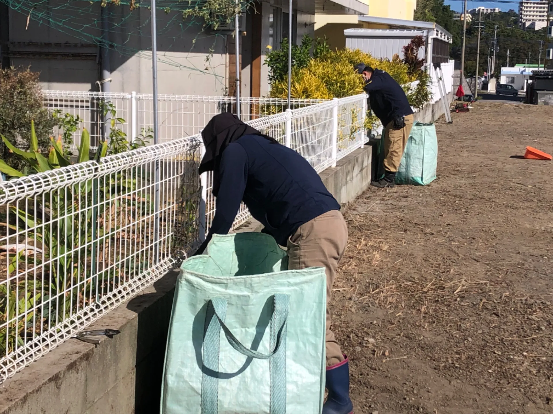 近隣に侵入したツルや草を回収していきます。