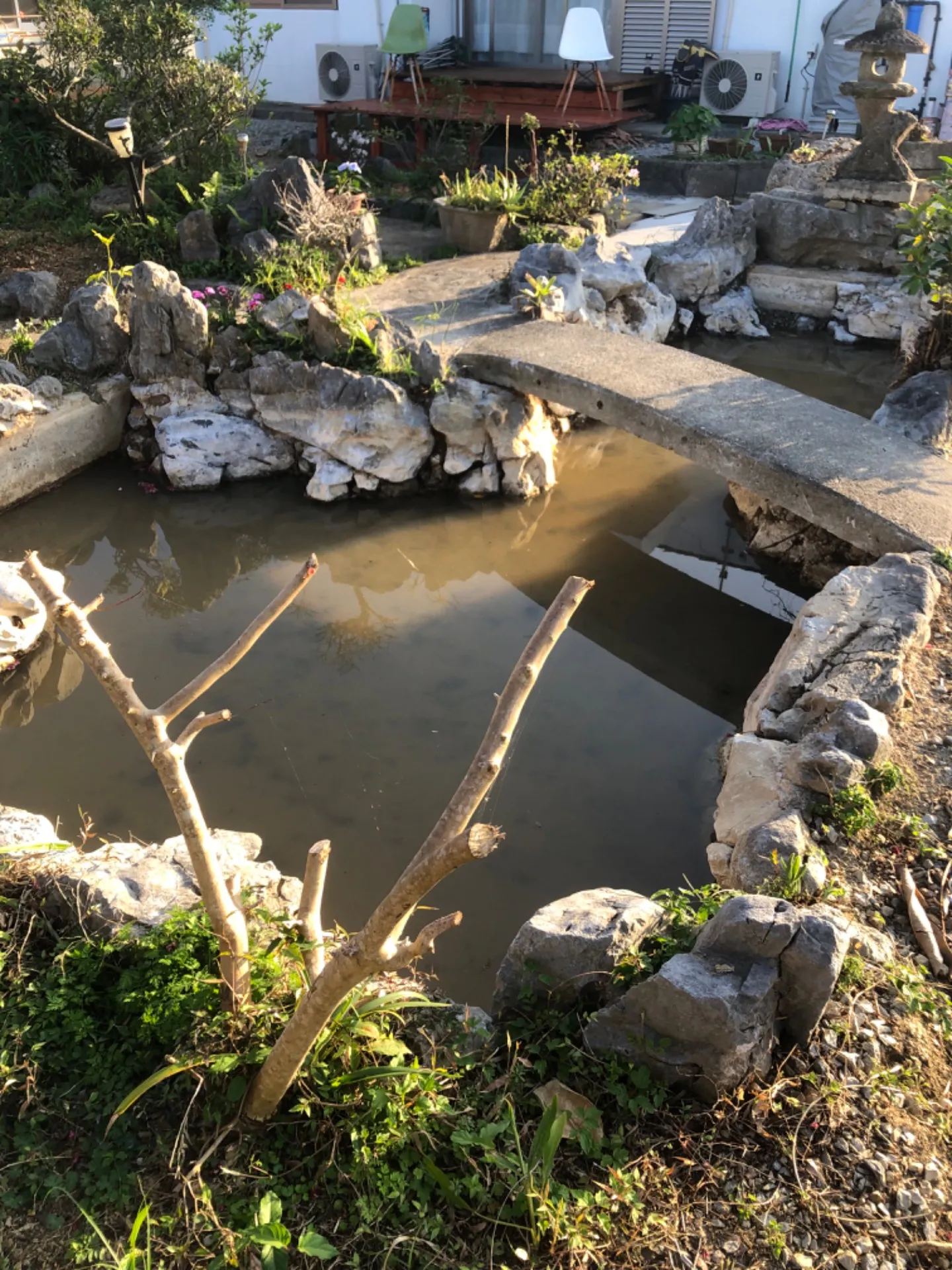 アフター：しばらく流水排水を繰り返せば透き通った池に戻ります。