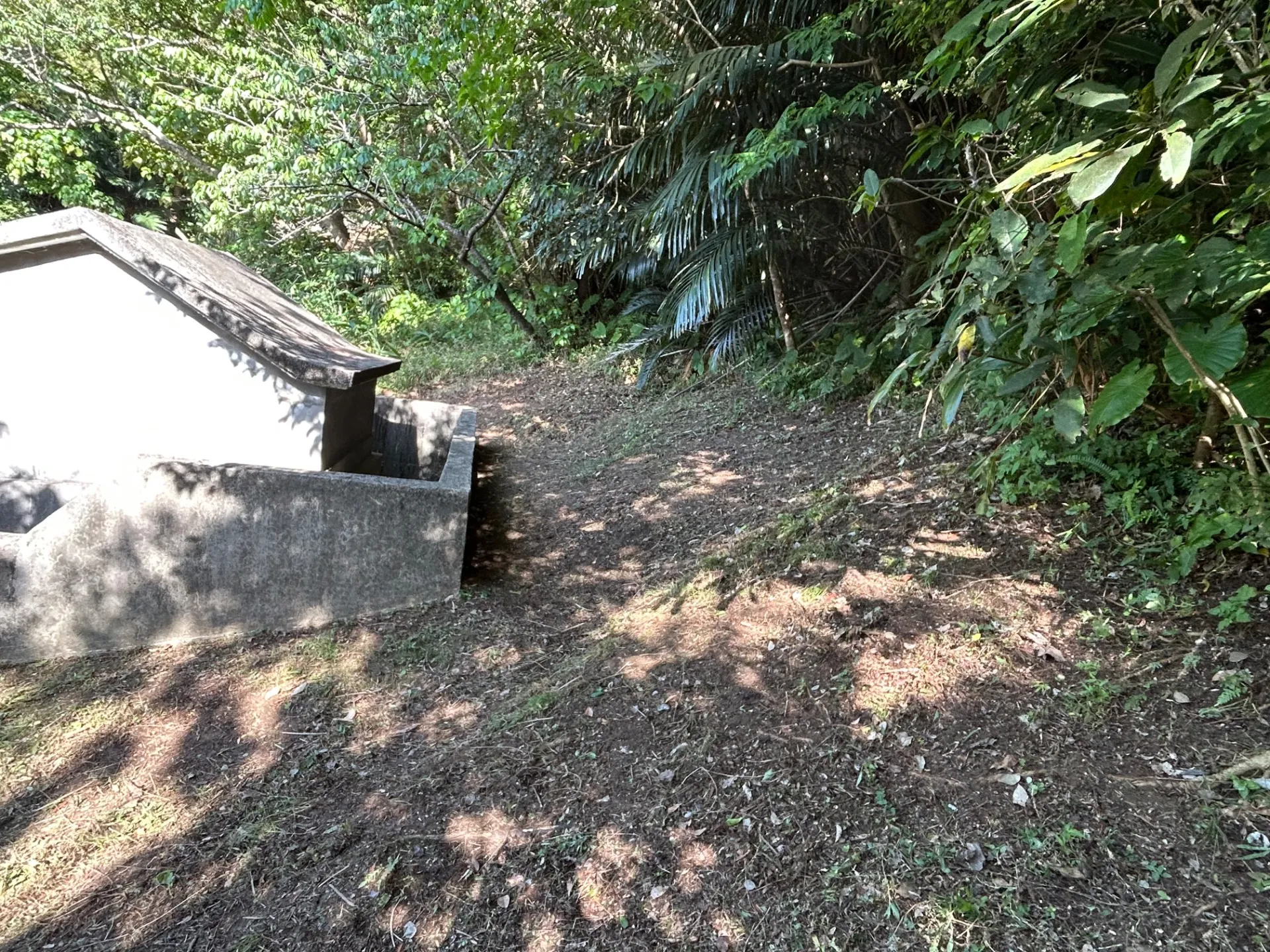 お墓周辺草刈り清掃（後ろ側）