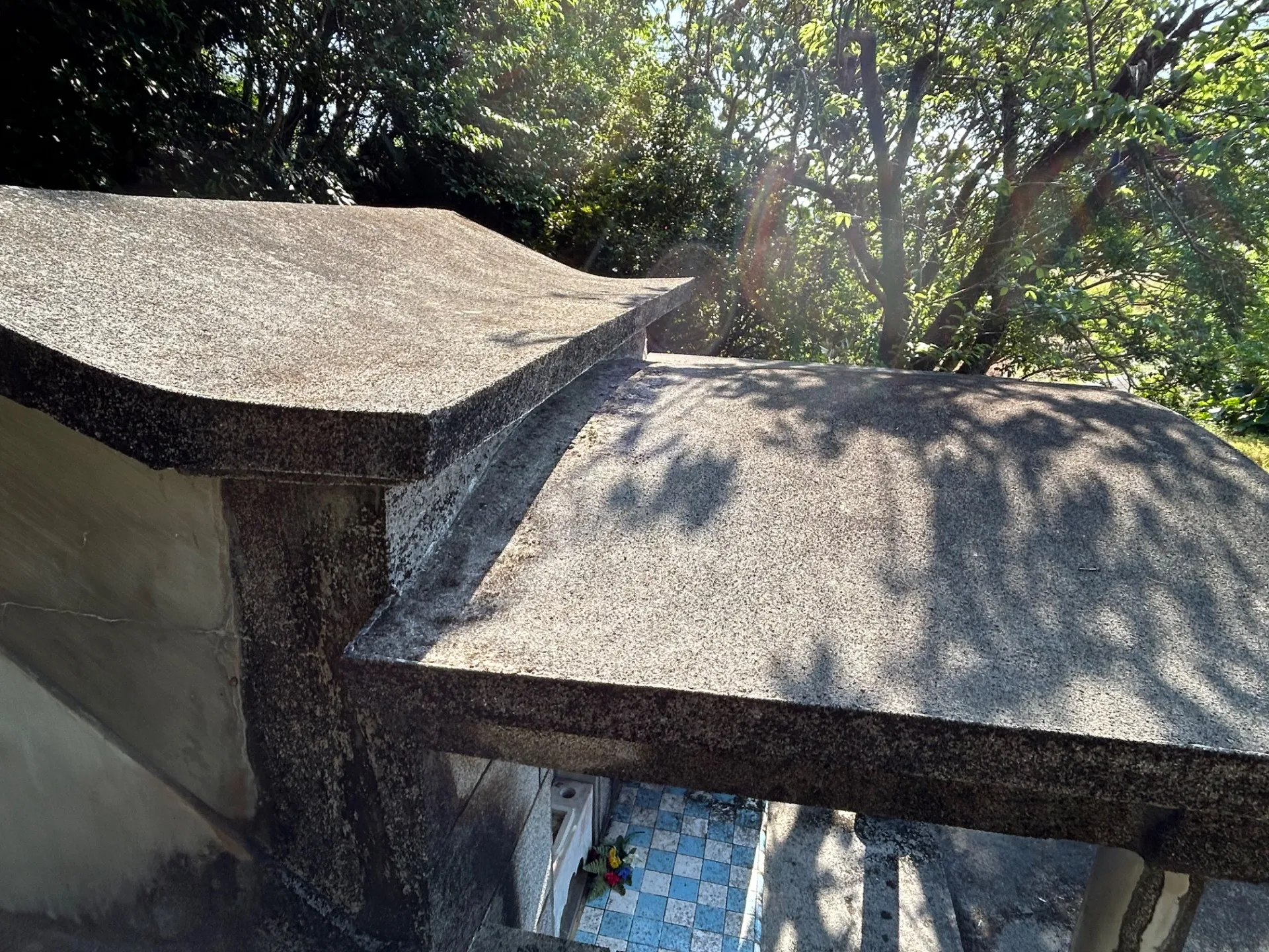 正面屋根周辺のコケ取り清掃